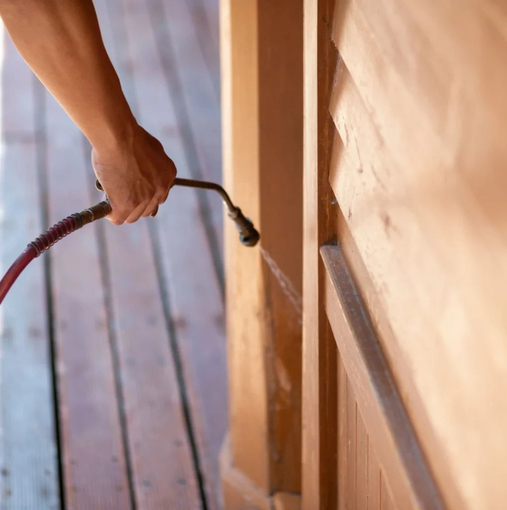 Trusted Pest Control - Clifton Park Pest Control Pros | Clifton Park, NY | 518-263-0555
